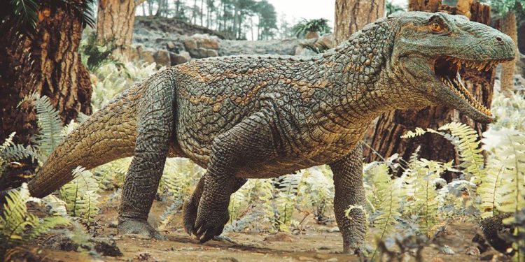 Tainrakuasuchus bellator.