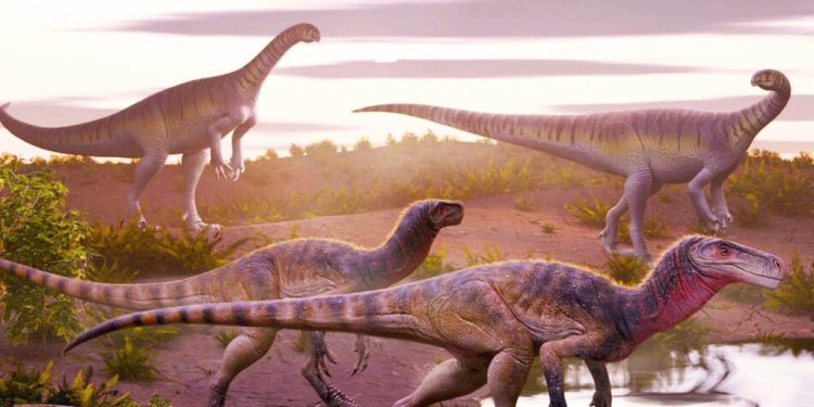 predator awal dinosaurus
