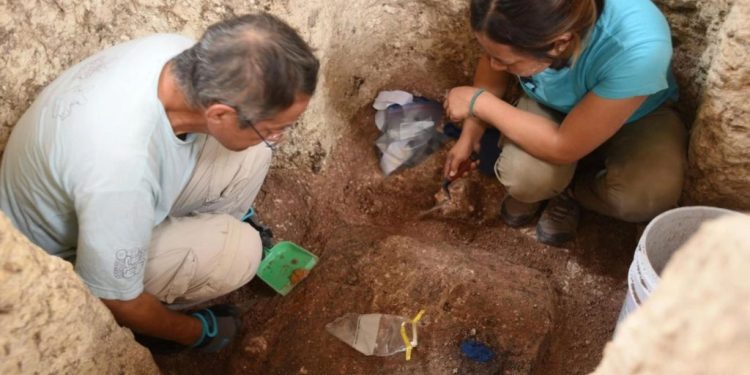 Archaeologists