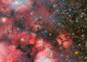 Stellar nursery