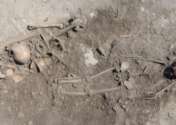 DNA Kuno Ungkap Misteri Makam 5.500 Tahun di Swedia