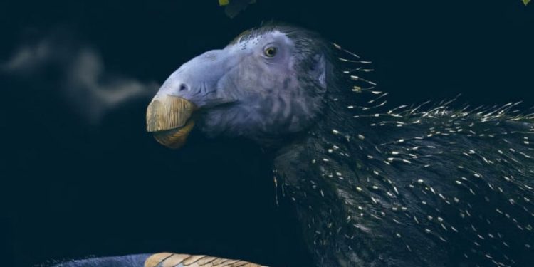 Dinosaurus Berduri