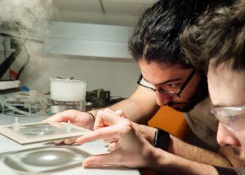 Panel surya dua fungsi