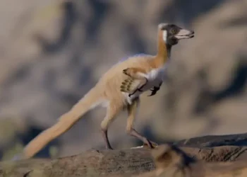 Ilustrasi Alnashetri