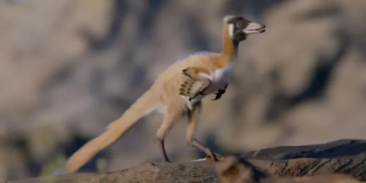 Ilustrasi Alnashetri