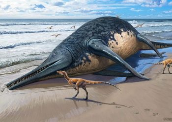 Ichthyotitan Severnensis Reptile