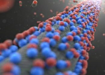 Teknologi Penangkapan Karbon Efisien