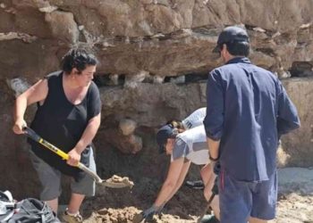 Fosil Kukang Raksasa Argentina