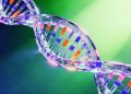 DNA