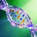 DNA