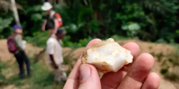 Penemuan Sejarah Manusia Purba