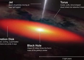 Ilustrasi yang menunjukkan anatomi lubang hitam supermasif dan AGN di jantung NGC 4151.(Laboratorium Gambar Konseptual Pusat Penerbangan Antariksa Goddard NASA)