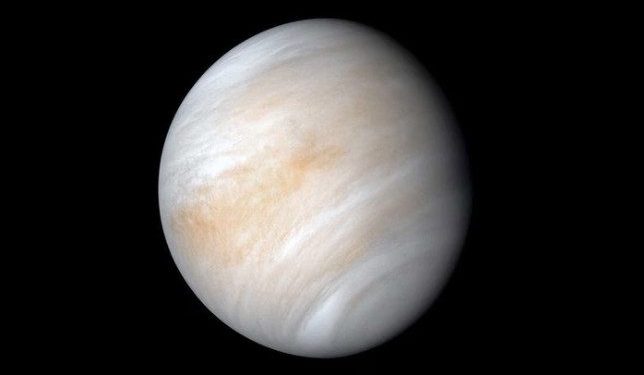 Venus