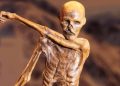 inside Otzi