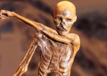 inside Otzi