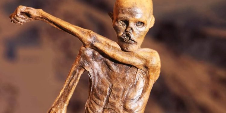 inside Otzi