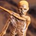 inside Otzi